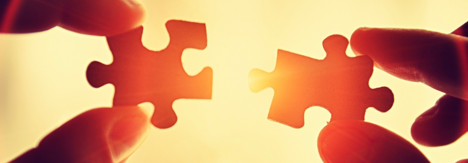 Partners